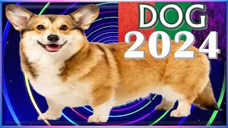 Dog Horoscope 2024 ✩ Born 2018 2006 1994 1982 1970 1958 1946 1934 [upl. by Hareenum]