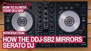 What The Buttons Do  How To DJ With Your Pioneer DDJSB2 5 of 22 [upl. by Ynhoj303]