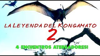 KONGAMATO Parte 2 Cuatro ESCALOFRIANTES encuentros con Pterodactilos Criptozoologia [upl. by Lodovico]