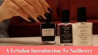 An Introduction What Is Nailberry [upl. by Roumell100]