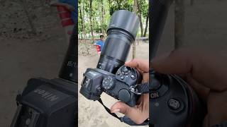 Nikon z5 photography trending reels video shoot with 85mm 18f shorts [upl. by Inahpets57]