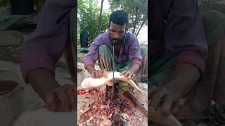 Amazing Pangas fish cutting skills 180 🐬😱 shorts [upl. by Sabah]