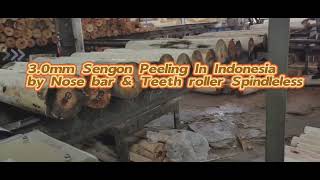 Core veneer peeling machineplywood making machinery30 SengonRubberEucalyptus Peeling [upl. by Magree]