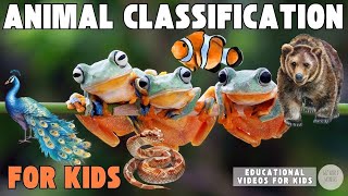 Animal Classification for Kids  Mammals Reptiles Amphibians Fish Birds [upl. by Kendyl]