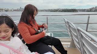 FantaSea Ferry going Taronga Zoo Entry  Sydney Harbour Ferry 2 [upl. by Yatnuhs]