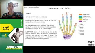 Anatomia e Fisiologia Humana  Curso de Educação Física [upl. by Aihsram]