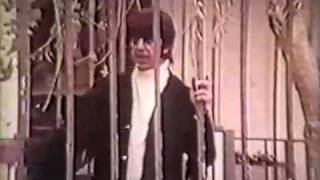 Mark Lindsay  Miss America tv clip [upl. by Amalea78]