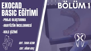 Exocad Basic Eğitimi  BÖLÜM 1  Giriş  Arayüz  Kole Çizimi [upl. by Gower]