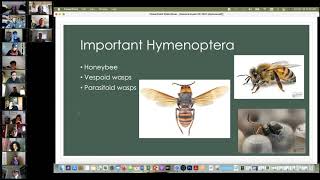 Basic Intro to Entomology [upl. by Honorine]