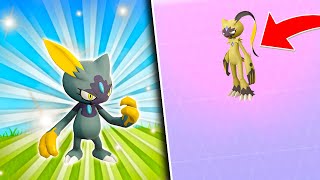 HOW TO FIND SHINY HISUI SNEASEL IN POKEMON GO New Along the Routes Event [upl. by Anauqal]