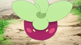 Bounsweet evolves into Steenee Pokemon Sun and Moon Clips [upl. by Wadsworth]