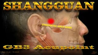 GB3  Shangguan Acupoint  Gallbladder Meridian  Acupressure VIKUDO [upl. by Sumahs]