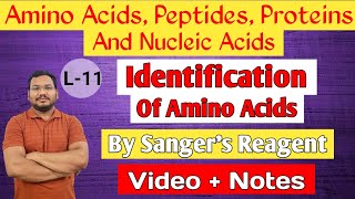 Identification of Amino Acids by Sangers Reagent  DNFB  N terminal Identification of Amino Acids [upl. by Sutphin]