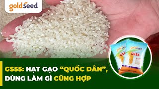 GS55 Hạt gạo quotquốc dânquot dùng làm gì cũng hợp goldseed farming gionglua [upl. by Mylor]