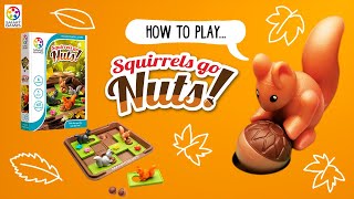 How to play Squirrels Go Nuts  SmartGames [upl. by Esinet]