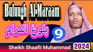 Bulugh AlMaram Kutaa 9ffaa Ustaaz Shaafii Muhammad 10November 2024 [upl. by Nylarej463]