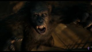 Caeser kills Koba Dawn of the Planet of the Apes [upl. by Tenney]