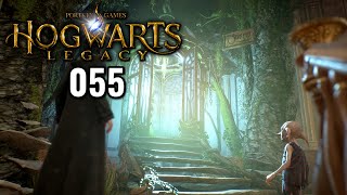 Hogwarts Legacy 100 Platin ★ 055 Die Tierwesenzucht beginnt PS5 Gameplay Deutsch German [upl. by Quinta]