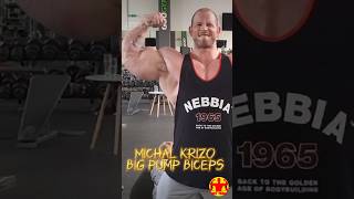 • Big Pump Biceps Michal Krizo 💪 biceps michalkrizo musculation [upl. by Marsiella]