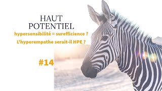 HAUT POTENTIEL 14 Hypersensibilité  surefficience  Le profil HPE seraitil un hyperempathe [upl. by Devina]