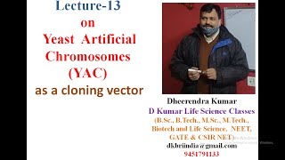 Yeast Artificial Chromosomes YAC cloning vector in genetic engineering by Dheerendra kumar [upl. by Oriane]