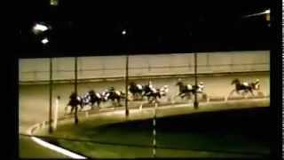 Buffalo Raceway NYSS Color Of Money [upl. by Chura]