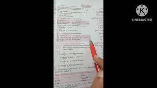 Learning English By Lucents General EnglishChapter 1SyntaxExplained By Khushnuma Malik [upl. by Nnylamme]