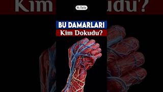 Bu Damarları Kim Dokudu  My Rahle [upl. by Hedvige627]