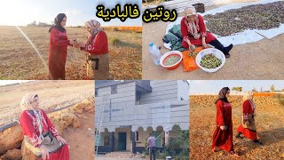 مربوحةالإصلاحات مزال مبدات ولالة حادة مرضات روتين فالبادية انا وميمتيRoutine in the desert [upl. by Osrock217]