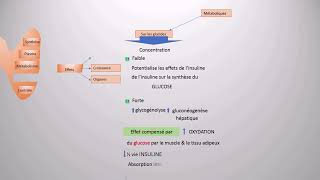 EFFETS DES HORMONES THYROÏDIENNES SUR LES NUTRIMENTS [upl. by Suellen]