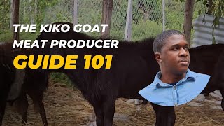 The Kiko Goat in Jamaica the ultimate meat producer [upl. by Sherwin]