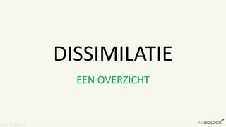 Dissimilatie  een overzicht [upl. by Matthieu]