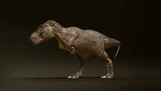 Rexy and Vastatosaurus Rex vs Carnotaurus  Animation Full Version [upl. by Botsford]