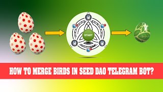 Merge Birds in Seed DAO Telegram bot EASY [upl. by Tannen]