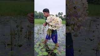 Beiman Arman Alif live newsong song cover music bengalimusic kushtia [upl. by Yekim952]