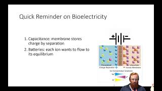 Electrophysiology 2  Bioelectricity Revision [upl. by Alodie176]