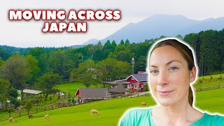 ROADTRIP ACROSS JAPAN Family and dogfriendly Airbnbs rest stops and things to do  Moving Ep 4 [upl. by Parnas]