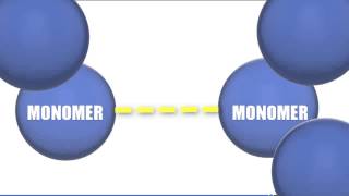 Monomers vs Polymers  Biology Tutorial [upl. by Minnnie415]