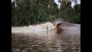 surfing on the river quotThe exciting Bono Pelalawan Riau Indonesia [upl. by Clayson]