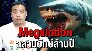 ความจริงของฉลามยักษ์ Megalodon ที่ใครหลายๆคนไม่รู้มาก่อน [upl. by Sewoll]