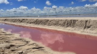 Is it worth it to visit Las Coloradas for the pink water [upl. by Aynwat25]