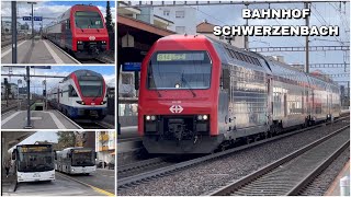 Züge beim Bahnhof Schwerzenbach  Trains at Schwerzenbach station 2024 [upl. by Barrus]