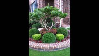 FRONTYARD LANDSCAPING IDEAS  DIY GARDEN DESIGN 2023 [upl. by Nemaj]