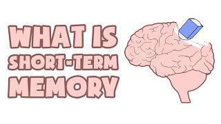 What is ShortTerm Memory  Explained in 2 min [upl. by Kelila]