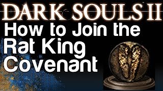 How to Join the Rat King Covenant  Dark Souls 2 Gnawing Covenant Achievement  WikiGameGuides [upl. by Mavra533]