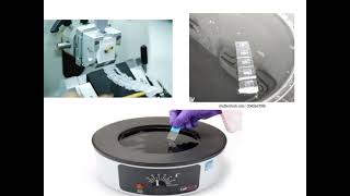 Tissue Processing Histopathology H and E Staining Tecniques  Hindiurdu Histopathology [upl. by Hance]