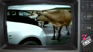 Toyota Corolla Not By Nature Commercial 2002 [upl. by Winchester]