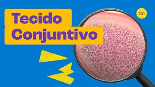 Tecido Conjuntivo  Características tipos e funções [upl. by Leveroni]