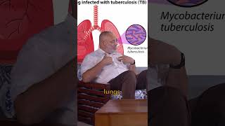 Understanding Reactivation Tuberculosis  Insights tuberkulosis tuberculosis medical doctor [upl. by Bunde]