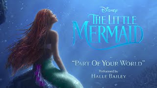 The Little Mermaid 2023  Part of Your World Exclusive Music Video [upl. by Swords]